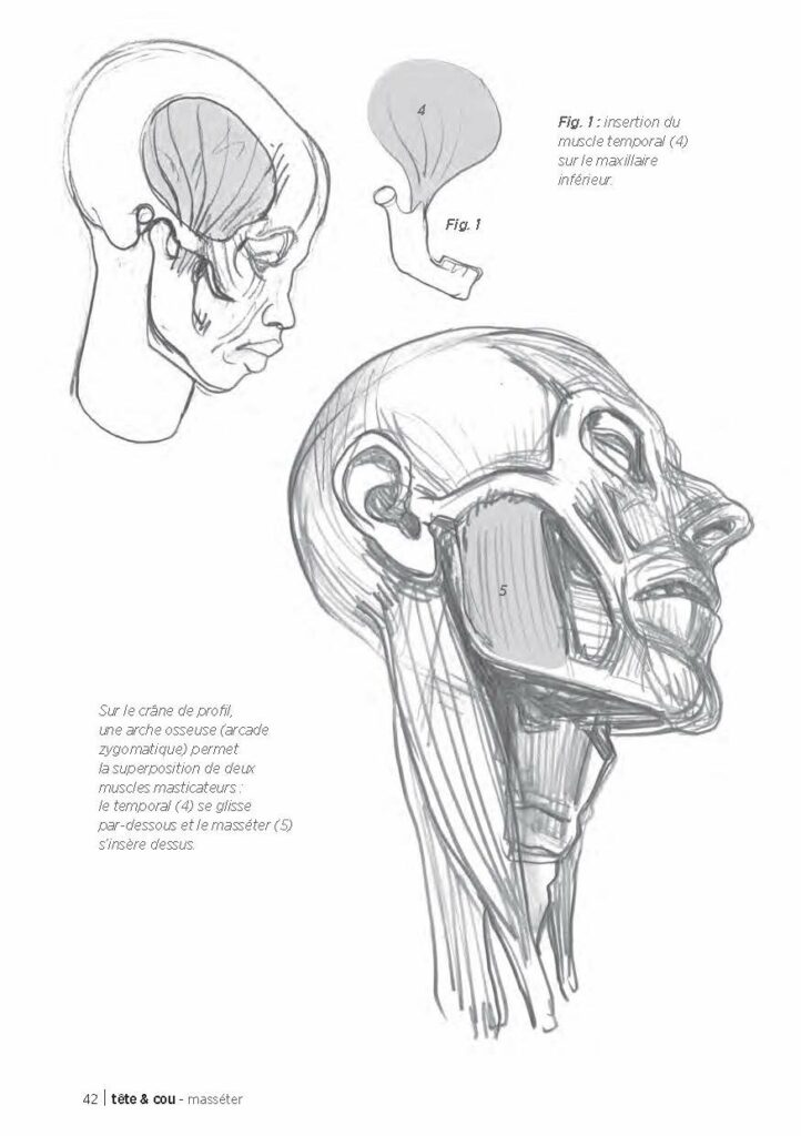 5 livres pour s'initier au dessin d'anatomie sur de bonnes bases