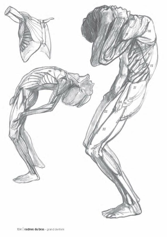 5 livres pour s'initier au dessin d'anatomie sur de bonnes bases