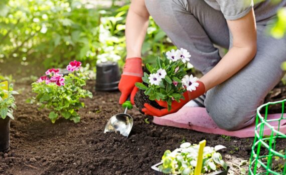 7 livres de référence pour débuter le jardinage sur de bonnes bases