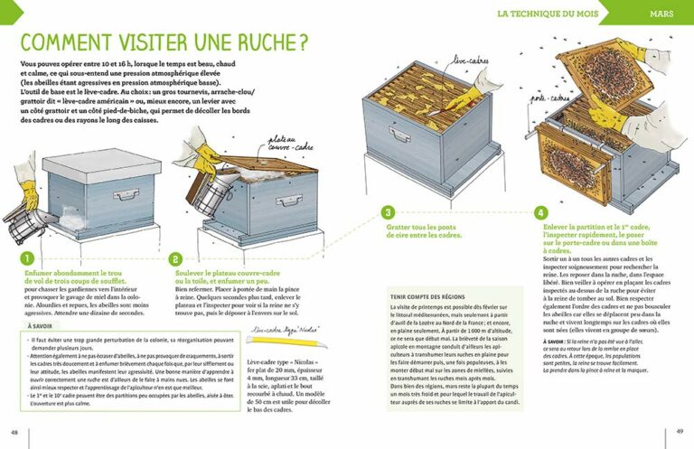 9 livres de référence pour débuter l'apiculture sur de bonnes bases
