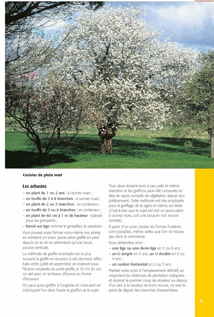 Ma bible des secrets de naturopathes : l'édition limitée et augmentée