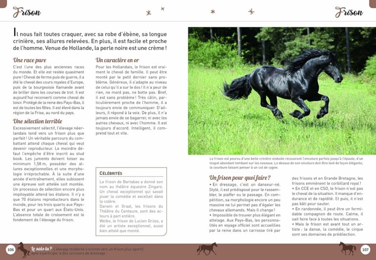 MON LIVRE PREFERE SUR LES CHEVAUX : Collectif