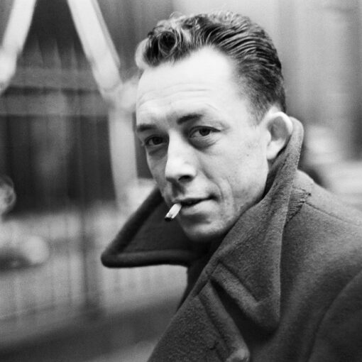 Les meilleurs romans d'Albert Camus – Notre sélection