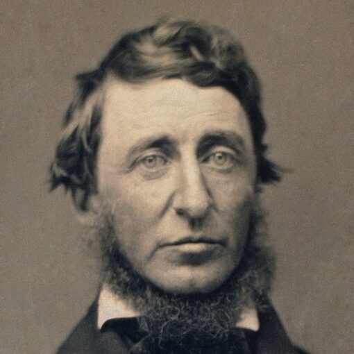 Les meilleurs livres d'Henry David Thoreau – Notre sélection