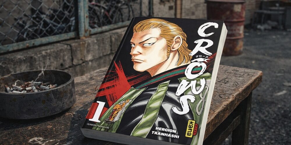 Que lire après « Crows » de Hiroshi Takahashi ?