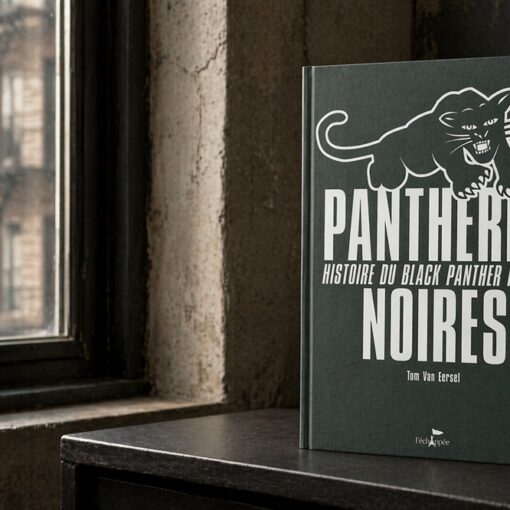 Que lire sur le Black Panther Party ?