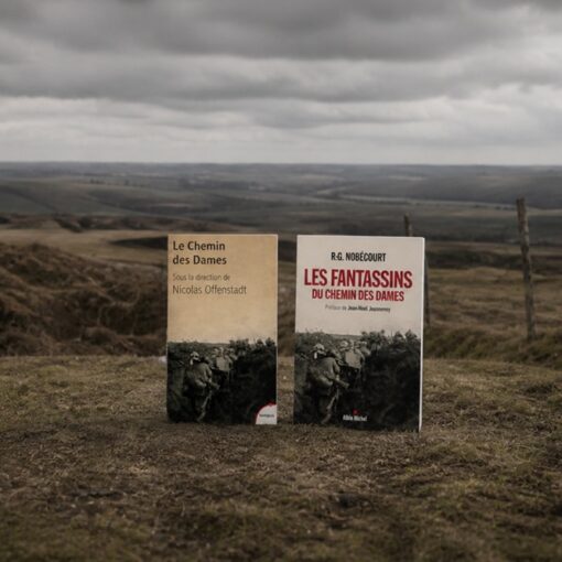 Que lire sur la bataille du Chemin des Dames ?