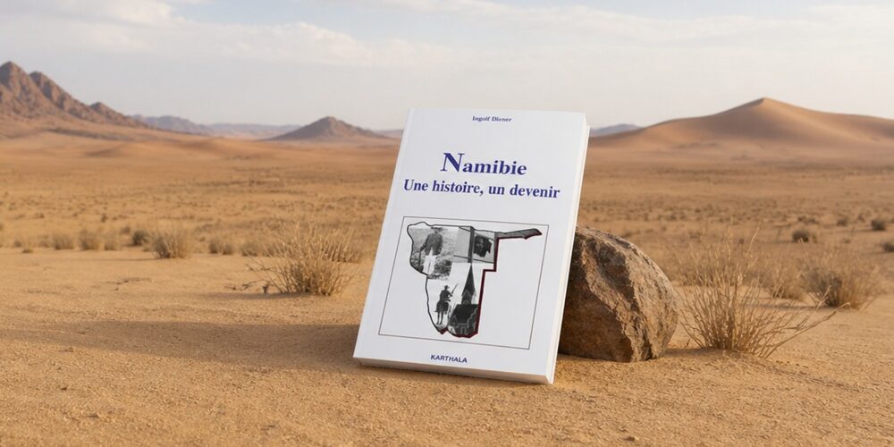 Que lire sur l'histoire de la Namibie ?