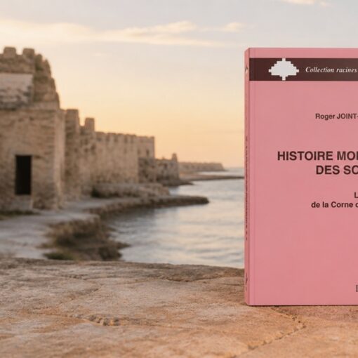 Que lire sur l'histoire de la Somalie ?