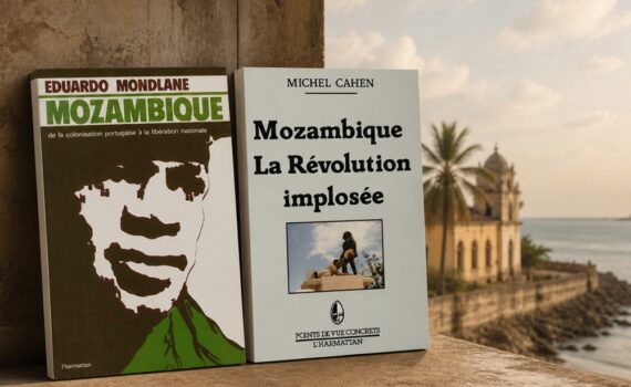 Que lire sur l'histoire du Mozambique ?