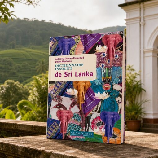 Que lire sur l'histoire du Sri Lanka ?